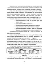 Referāts 'Starptautiskais mārketings', 20.