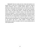 Prakses atskaite 'Prakses atskaite. BTA Insurance Company SE', 14.