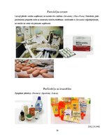 Referāts 'Ķīmiskā rūpniecība Latvijā', 26.