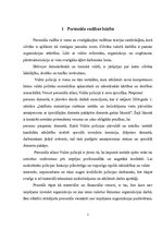 Referāts 'Personāla vadības procesa jēdziens un funkcijas', 5.