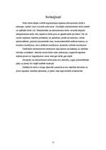 Referāts 'Administratora darba ergonomiskā novērtēšana', 17.