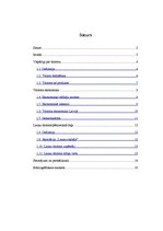 Referāts 'Tūrisms, lauku tūrisms', 2.