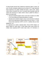 Referāts 'Tūrisms, lauku tūrisms', 5.