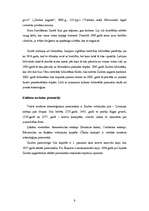 Konspekts 'Zaubes pagasta ģeogrāfiskais raksturojums', 9.