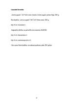 Konspekts 'Zaubes pagasta ģeogrāfiskais raksturojums', 15.