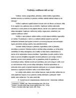 Eseja 'Vadītāja analīze', 1.