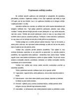 Eseja 'Vadītāja analīze', 4.