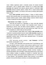 Referāts 'Darba vietās pastāvošie bīstamības avoti', 5.