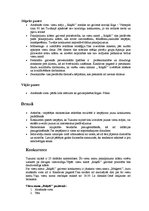 Konspekts 'Biznesa ideja viesu namam "Rūķīši"', 3.