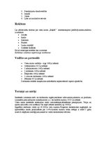 Konspekts 'Biznesa ideja viesu namam "Rūķīši"', 4.