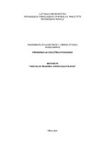 Referāts 'Sociālās prasmes animācijas filmās', 1.