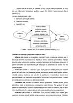 Referāts 'Vadīšanas pamati', 25.