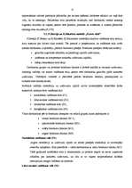 Referāts 'Vadīšanas pamati', 26.