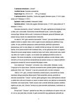 Prakses atskaite 'Profesionālās prakses pārskats', 5.