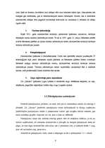 Prakses atskaite 'Profesionālās prakses pārskats', 9.