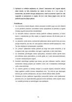 Prakses atskaite 'Profesionālās prakses pārskats', 18.