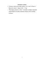 Referāts 'Metroloģija. Pielaides un sēžas', 13.