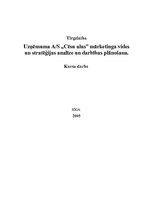 Referāts 'Uzņēmuma AS "Cēsu alus" mārketinga vides un stratēģijas analīze un darbības plān', 1.