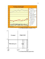Referāts 'Uzņēmuma AS "Cēsu alus" mārketinga vides un stratēģijas analīze un darbības plān', 13.