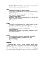 Referāts 'Uzņēmuma AS "Cēsu alus" mārketinga vides un stratēģijas analīze un darbības plān', 19.