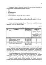 Referāts 'Alkoholisko dzērienu imports SIA “XXX” akcīzes preču noliktavā', 5.