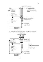 Referāts 'Alkoholisko dzērienu imports SIA “XXX” akcīzes preču noliktavā', 16.