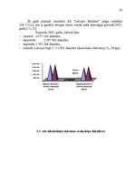 Referāts 'Alkoholisko dzērienu imports SIA “XXX” akcīzes preču noliktavā', 20.