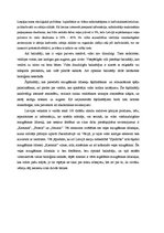 Eseja 'Mazgāšanas līdzekļu raksturojums un to ietekme uz vidi', 2.