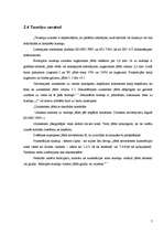 Referāts 'Darba aizsardzība un ergonomika. Prasības tastatūrai', 7.