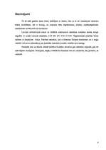 Referāts 'Darba aizsardzība un ergonomika. Prasības tastatūrai', 8.