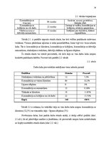 Diplomdarbs 'Nekustamā īpašuma uzņēmuma attīstība', 29.