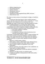 Referāts 'Ergonomika', 4.