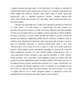 Eseja 'Eseja par Agile', 3.