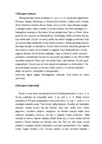 Referāts 'Divupe', 1.