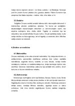 Referāts 'Divupe', 4.