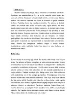 Referāts 'Divupe', 5.