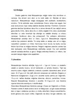 Referāts 'Divupe', 7.