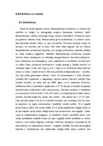 Referāts 'Divupe', 9.