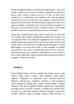 Referāts 'Divupe', 12.