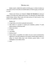 Referāts 'Reklāmas ietekme uz patērētāju', 7.