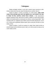 Referāts 'Reklāmas ietekme uz patērētāju', 20.