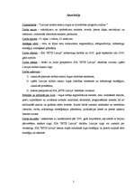 Diplomdarbs 'Latvijas mobilo sakaru tirgus un tā attīstības prognožu analīze', 2.