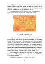 Diplomdarbs 'Latvijas mobilo sakaru tirgus un tā attīstības prognožu analīze', 23.