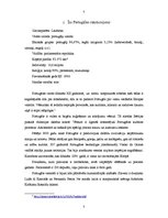 Referāts 'Starpkultūru komunikācija. Komunikācija Portugālē', 4.