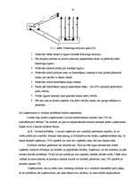 Referāts 'Mūsdienu kreditēšanas formu analīze', 19.