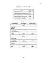 Biznesa plāns 'SIA "Finance management" biznesa plāns', 20.