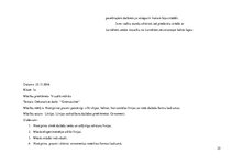 Prakses atskaite 'Aktīvā mācību audzināšanas prakse sākumskolā', 25.