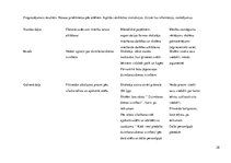 Prakses atskaite 'Aktīvā mācību audzināšanas prakse sākumskolā', 28.