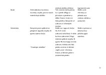 Prakses atskaite 'Aktīvā mācību audzināšanas prakse sākumskolā', 33.