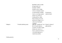 Prakses atskaite 'Aktīvā mācību audzināšanas prakse sākumskolā', 34.